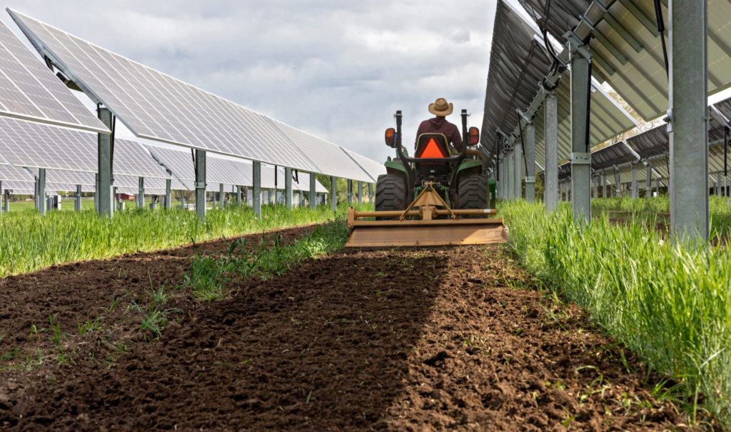 Solar Farm Carbon Sequestration