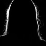 An anonymous woman in silhouette.