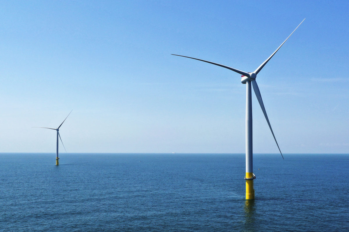 Offshore wind developers reach agreement with environmentalists on protecting whales