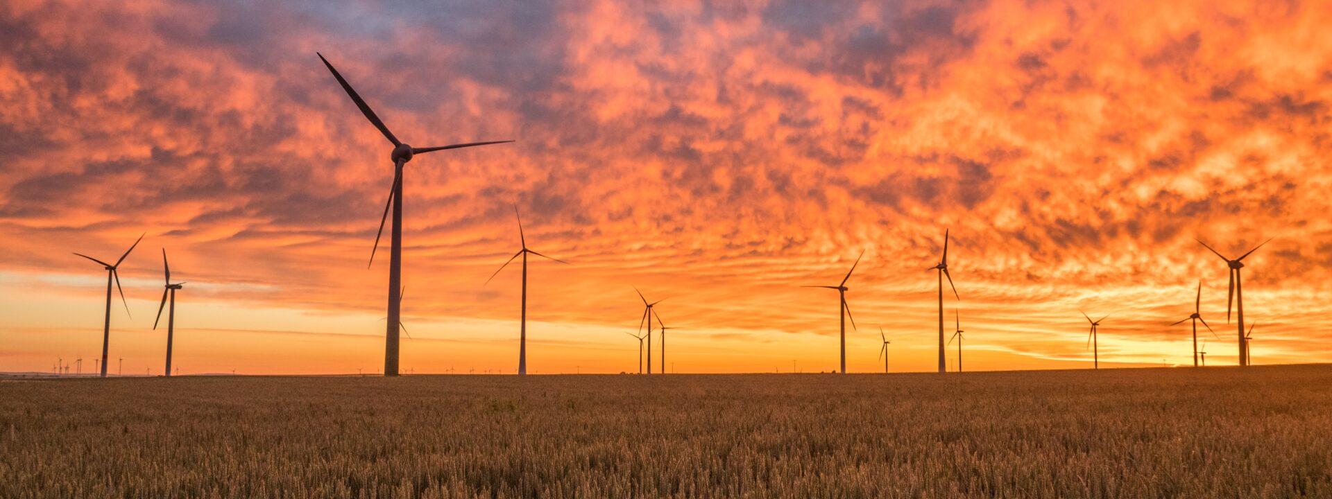 Google, Apex Clean Energy enter PPA for 189 MW North Carolina wind farm