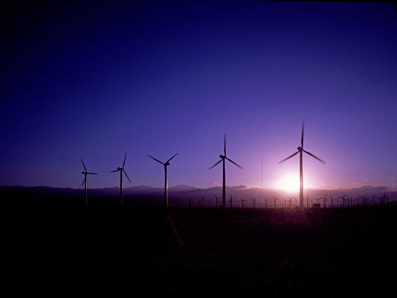 New wind capacity additions slowed in Q3, market report says