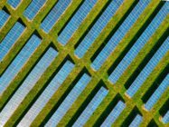 5 largest solar VC deals so far in 2021