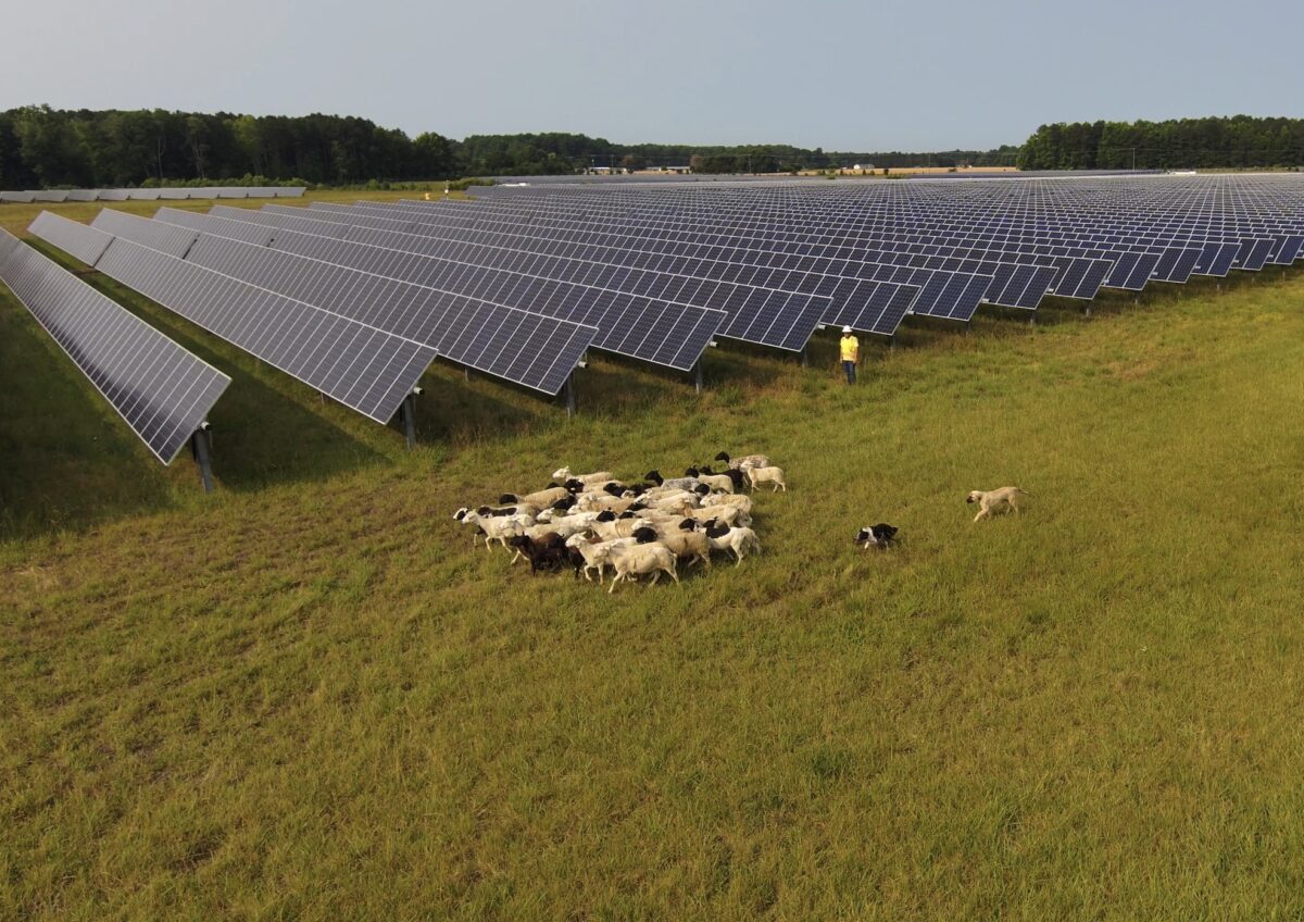 Dominion proposes 800 MW of new solar in Virginia
