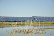 California CCAs procure 15 MW solar + 8 MWh storage for resource adequacy